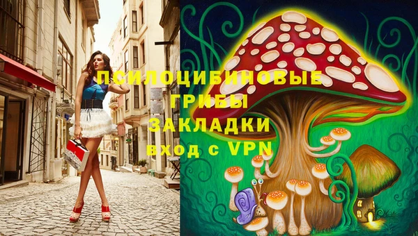 винт Алексин