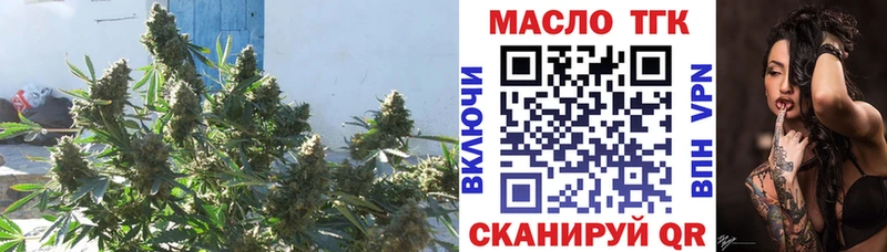 ТГК жижа  Сясьстрой 