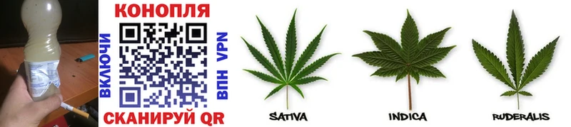 хочу   Сясьстрой  МАРИХУАНА THC 21% 